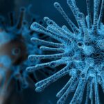 В США медики определили, как долго коронавирус «живет» на разных поверхностях