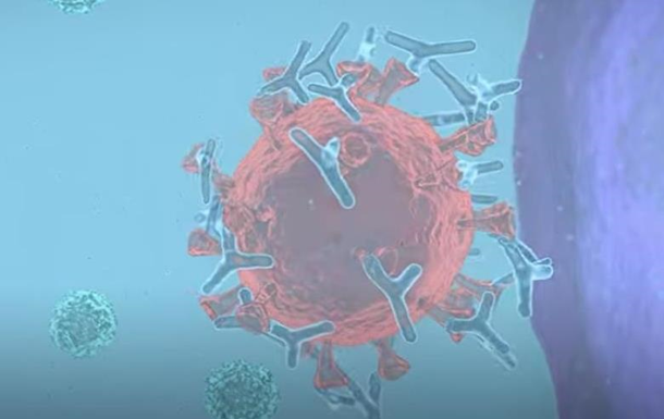 Ученые опубликовали видео о типах COVID-вакцин (ВИДЕО)