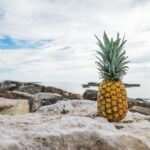 Полезные и вредные свойства ананасов