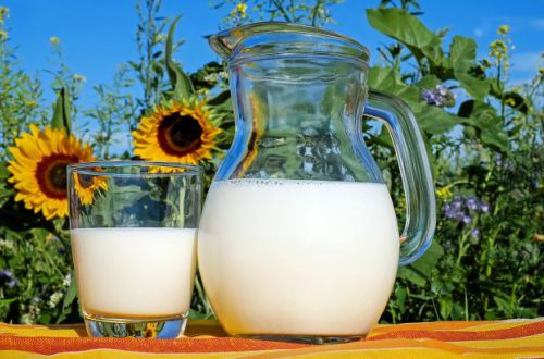 Названы молочные продукты, замедляющие старение