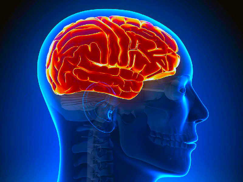 МРТ головы (головного мозга)