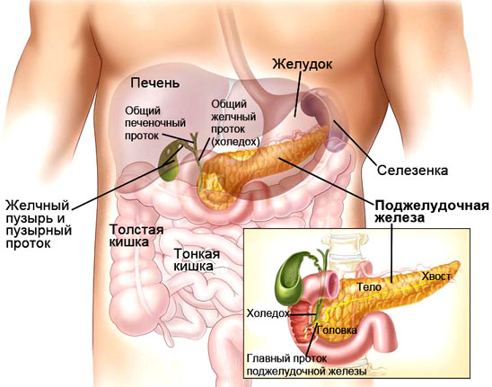 Какие факторы вызывают рак поджелудочной железы