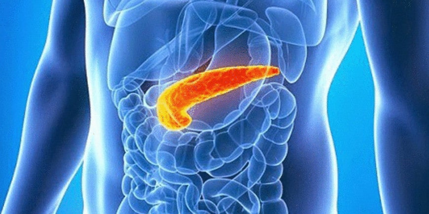 Какие факторы вызывают рак поджелудочной железы