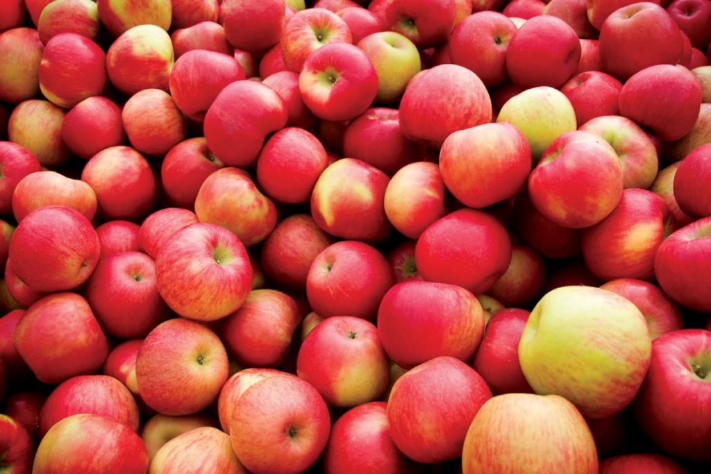 Почему яблоки стоит есть каждый день - советы от врачей
