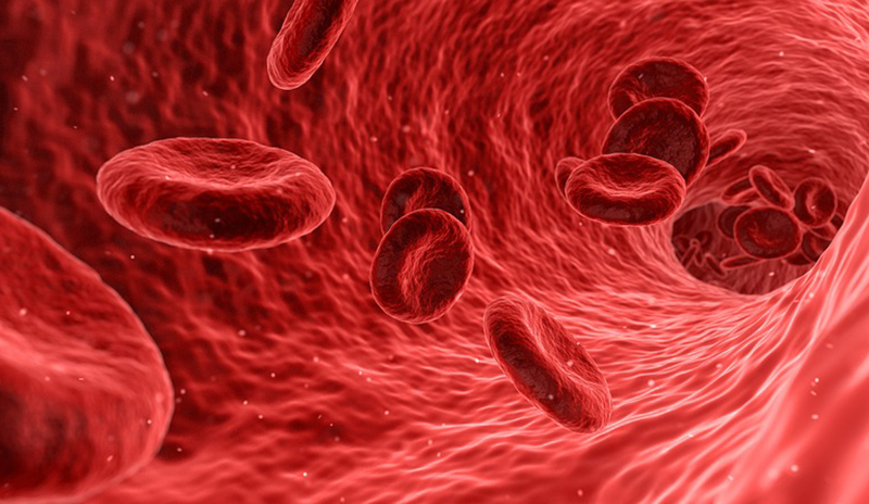 Специалисты назвали восемь эффективных способов очистки крови