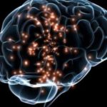 Ученным удалось выяснить в чем особенность структуры мозга людей с аутизмом