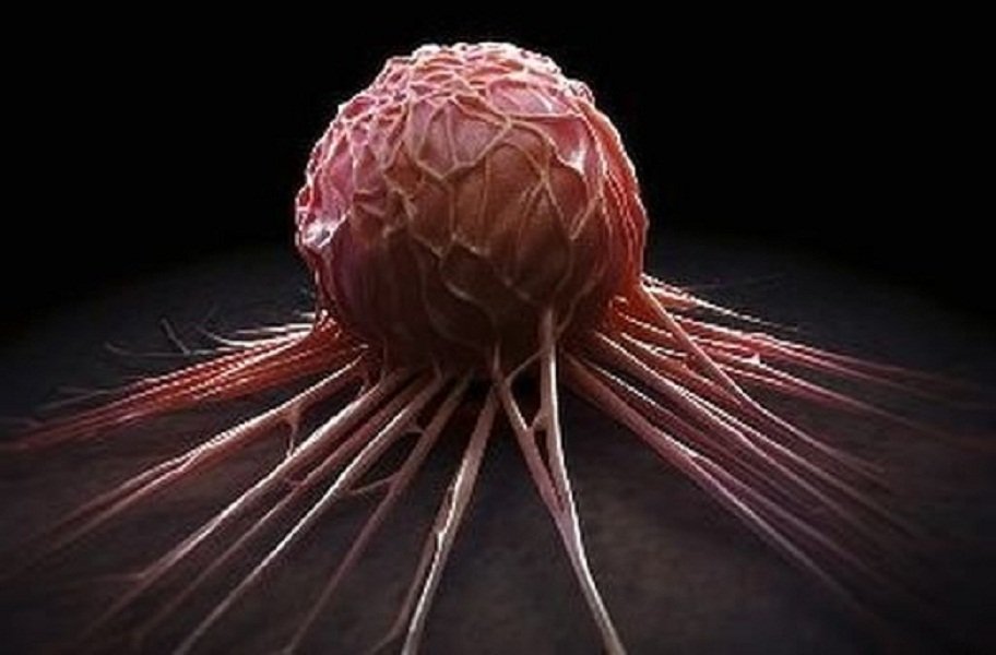 Ученным удалось создать препарат, который блокирует рост раковых опухолей