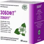 ЗОБОФИТ капсулы по 240 мг №60 (10х6)