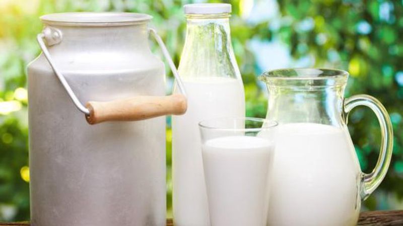 Популярные мифы о молоке развенчали диетологи