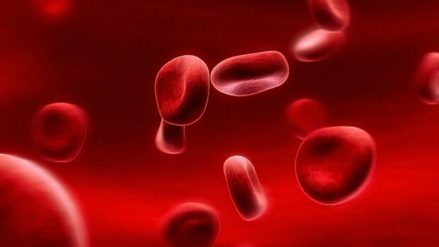 Ученые рассказали, чем опасна вторая группа крови