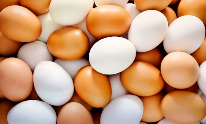 Эксперты ответили стоит ли мыть куриные яйца перед едой