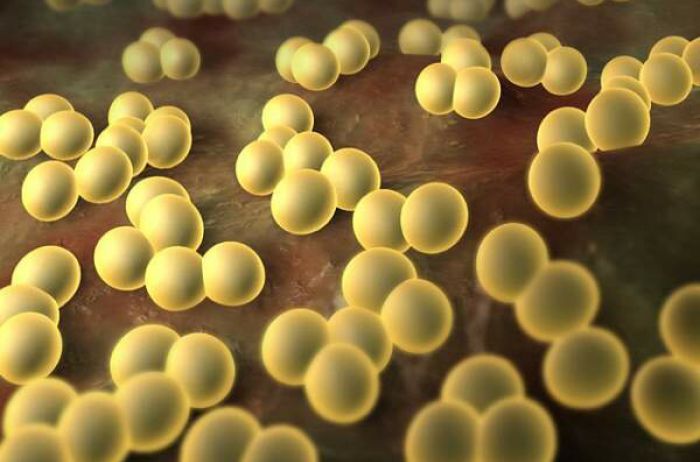 "Эту инфекцию не лечат": Комаровский ошарашил правдой о популярной болезни
