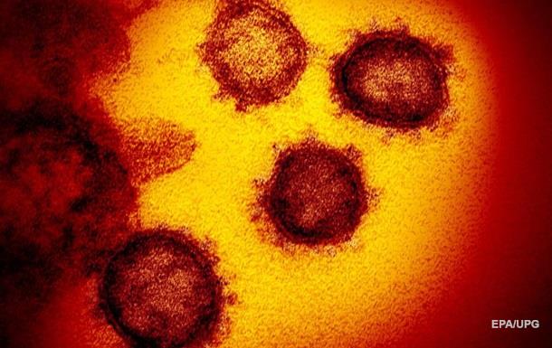 Ученным удалось установить сроки выздоровления от коронавируса