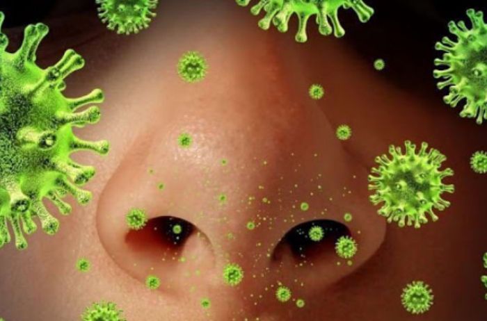 Как защититься от коронавируса: методы, проверенные в других странах