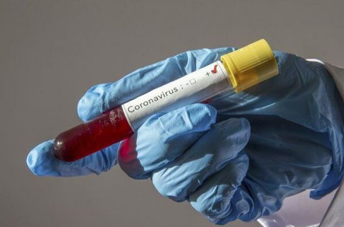 Вакцина против коронавируса: есть первый результат