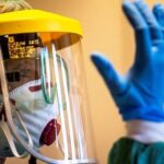 В ВОЗ заявляют о приближении Европы к пику вспышки коронавируса