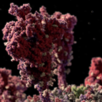 Ученые “слепили” самую точную 3D-модель коронавируса: как выглядит смертельная болезнь ВИДЕО