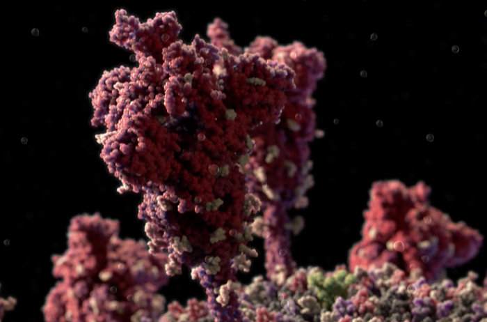 Ученые "слепили" самую точную 3D-модель коронавируса: как выглядит смертельная болезнь ВИДЕО