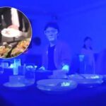 Как COVID-19 атакует гостей ресторанов: японцы показали устрашающее ВИДЕО