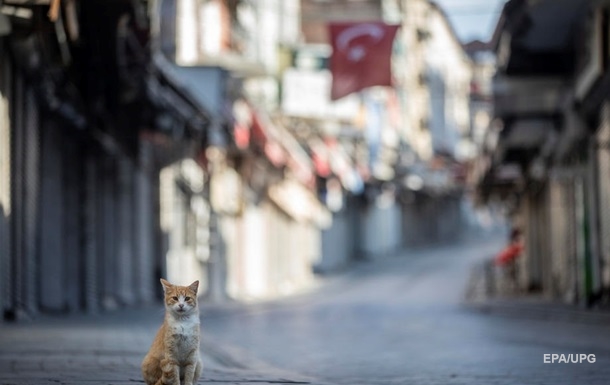 Турция из-за коронавируса вводит новые ограничения для туристов