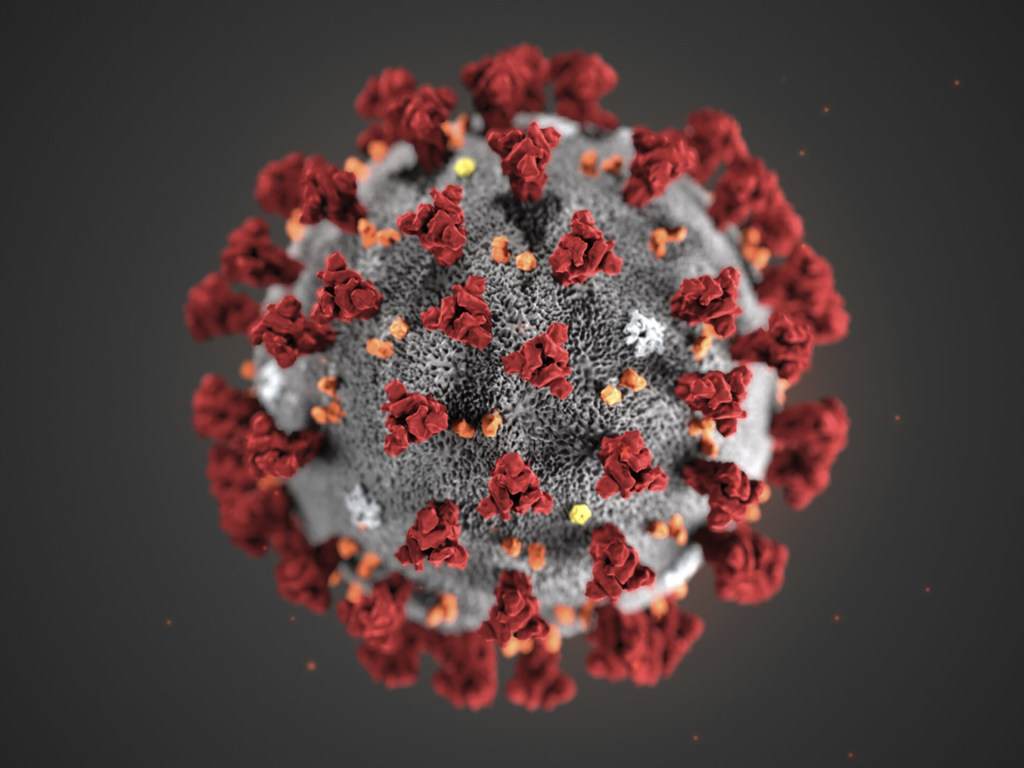 Ученые обнаружили сотни мутаций коронавируса