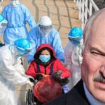 Количество зараженных на коронавирус в Беларуси превысило 50 тысяч