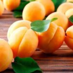Кому врачи запрещают есть абрикосы
