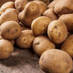 Медики выяснили, что старый картофель опасен для здоровья