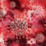 Ученые рассказали о скором появлении нового коронавируса: перейдет от животных к человеку