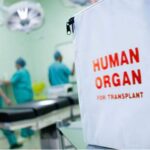 Донор может быть живым и мертвым: Кабмин утвердил тарифы на пересадку органов