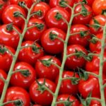 Как есть помидоры, чтобы не навредить здоровью