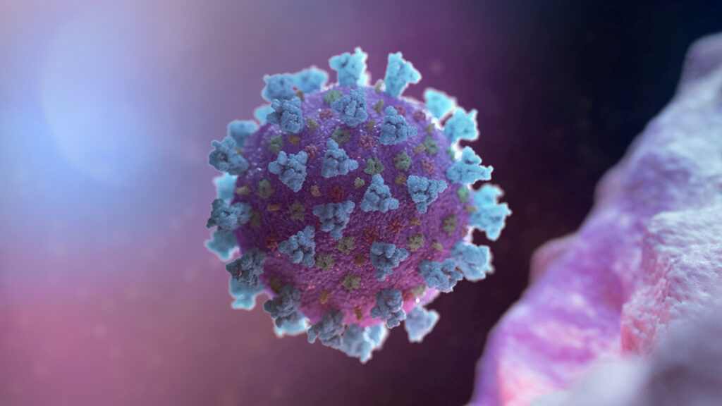 Почему коронавирус так легко поражает человеческие клетки, установили ученые