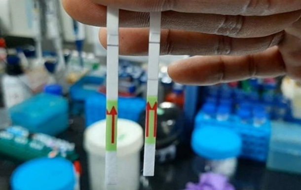 Первый в мире бумажный тест на коронавирус разработали в Индии