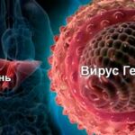 Вирусный гепатит: симптомы, способы заражения и особенности лечения