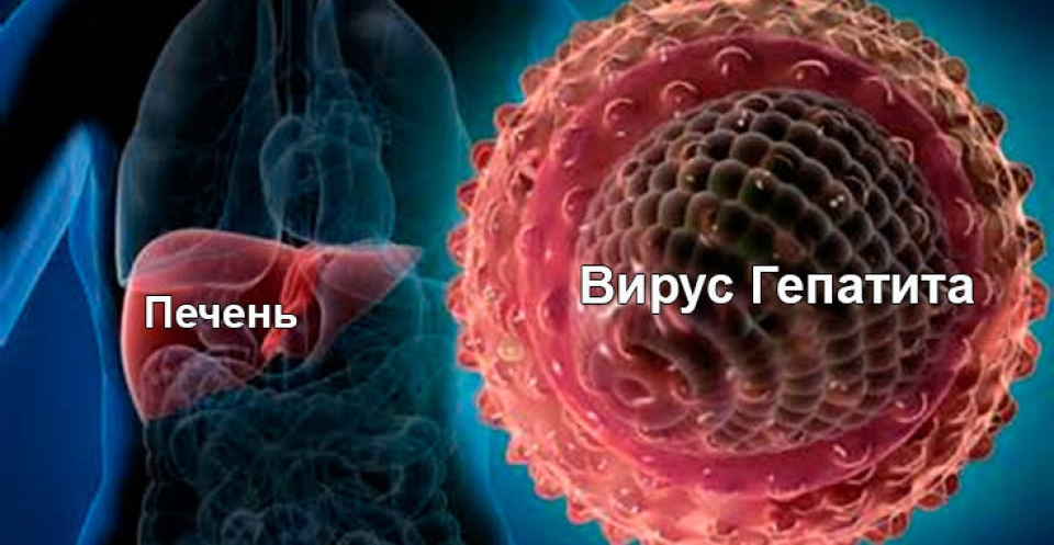 Вирусный гепатит: симптомы, способы заражения и особенности лечения