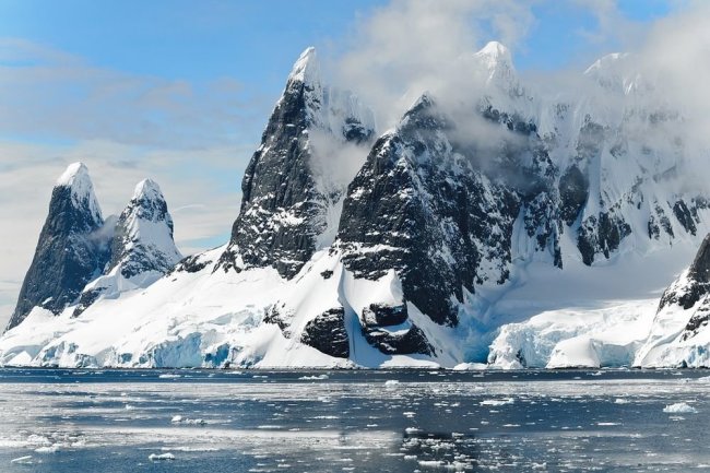 Коронавирус обнаружили на Антарктиде: заболели более 30 человек