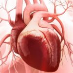Как самостоятельно проверить здоровье и силу сердца (всего за 5 минут)