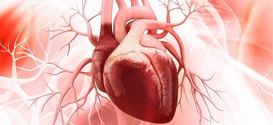 Как самостоятельно проверить здоровье и силу сердца (всего за 5 минут)