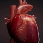 Проблемы с сердцем: какие симптомы должны насторожить