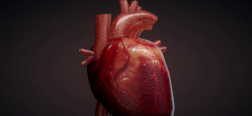 Проблемы с сердцем: какие симптомы должны насторожить