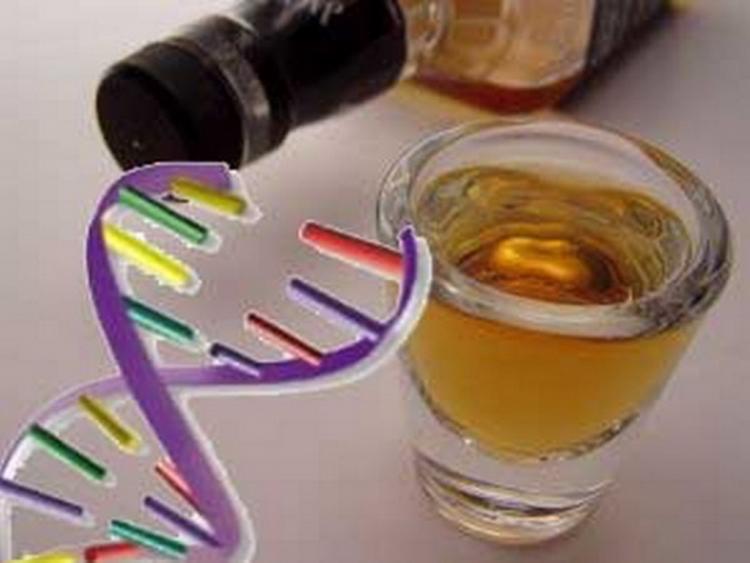Стало известно, заложен ли в генетике человека алкоголизм