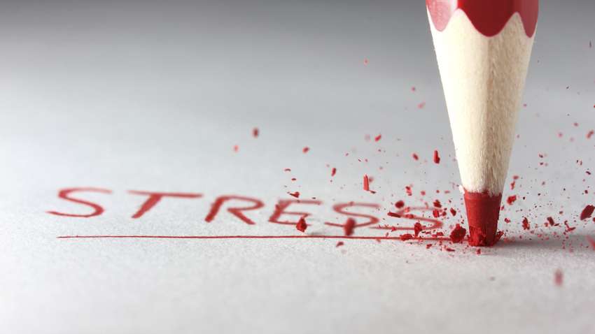 ТОП-5 эффективных способов быстро снять стресс