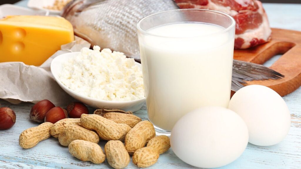Какие плюсы и минусы белковой диеты