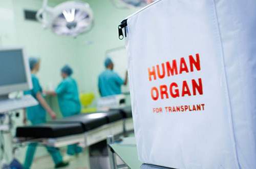 Распродают "органы": откуда в Украине ажиотаж и как устроена трансплантология