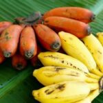 Ученые объяснили, какими бананами нельзя кормить детей