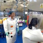 В Китае планировали заразить коронавирусом летучих мышей до пандемии – СМИ