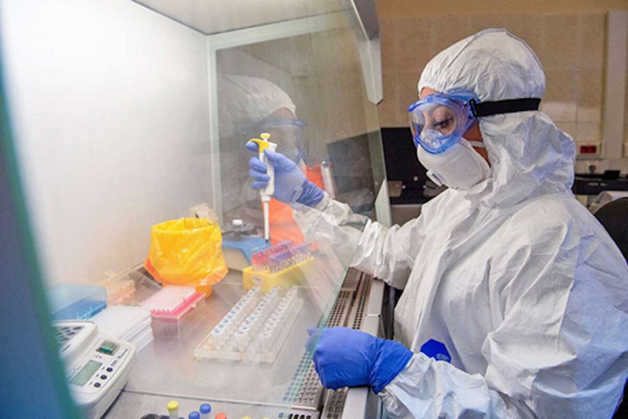 Китайские ученые заявили о новом коронавирусе: что известно