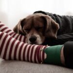 Приводят к некрозу: медик предупредил об опасности сна в теплых носках