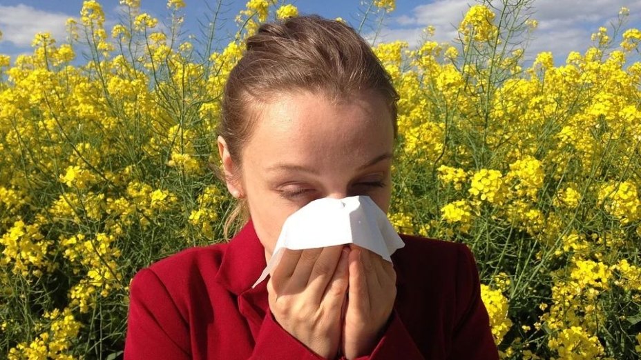 Украинцам рассказали, как справиться с сезонной аллергией