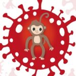 Віспу мавп визнали надзвичайною ситуацією в галузі охорони здоров’я